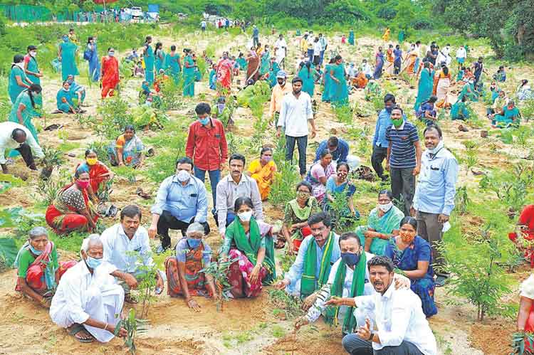 నేలతల్లికి వృక్షార్చన