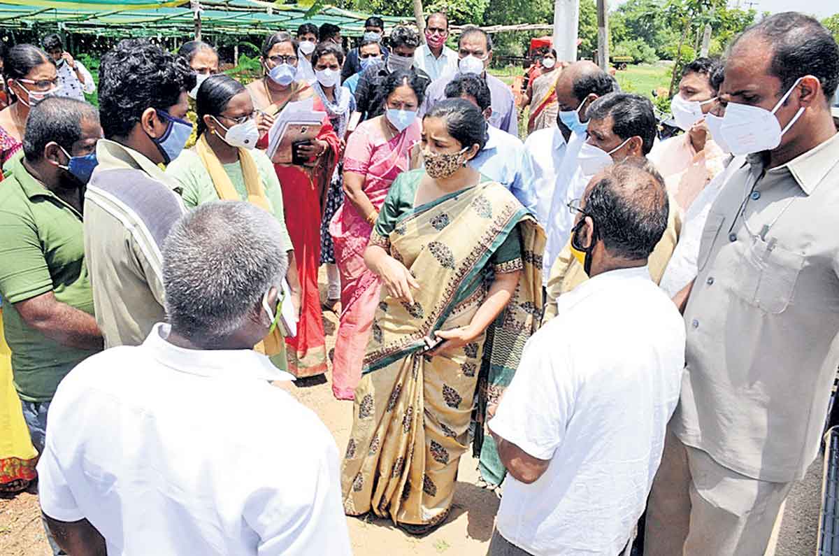 పల్లెలు పచ్చగా మారాలి