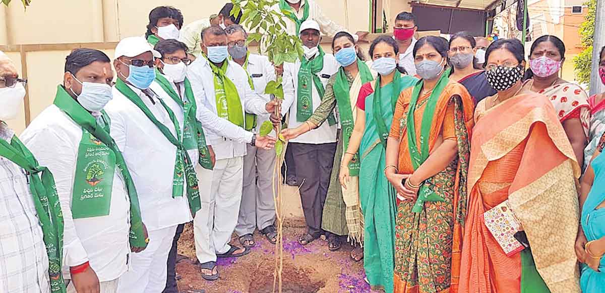 పట్టణాలు మురిసేలా..