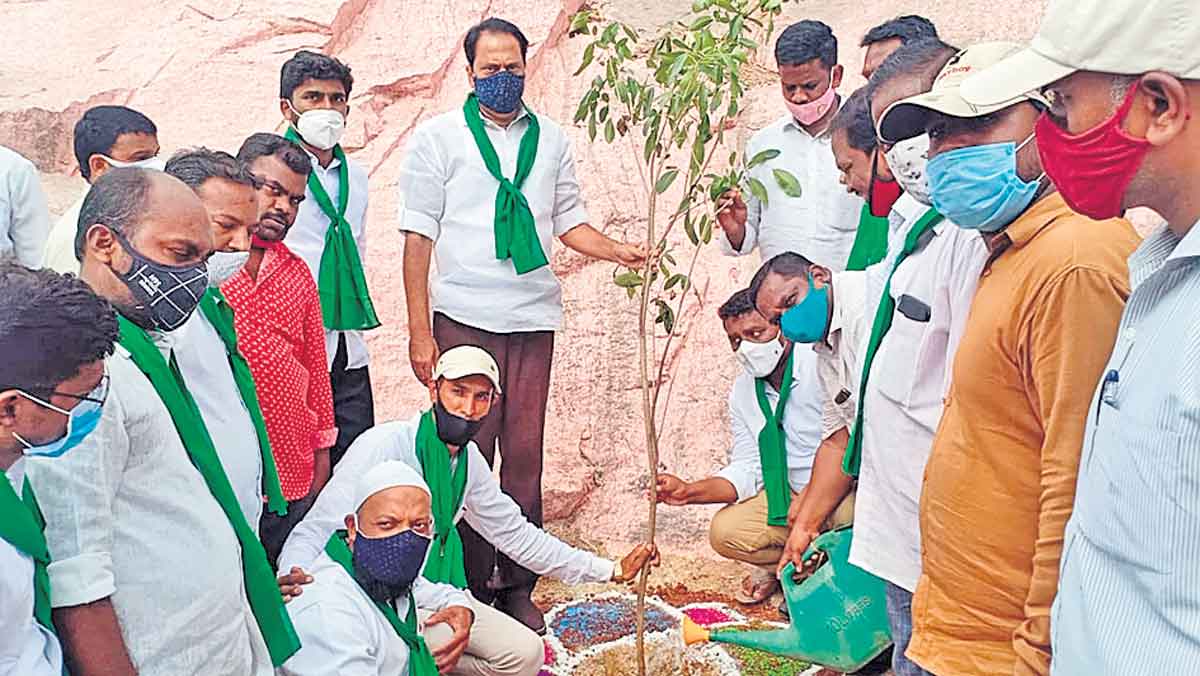 పచ్చదనమే పర్యావరణానికి రక్ష