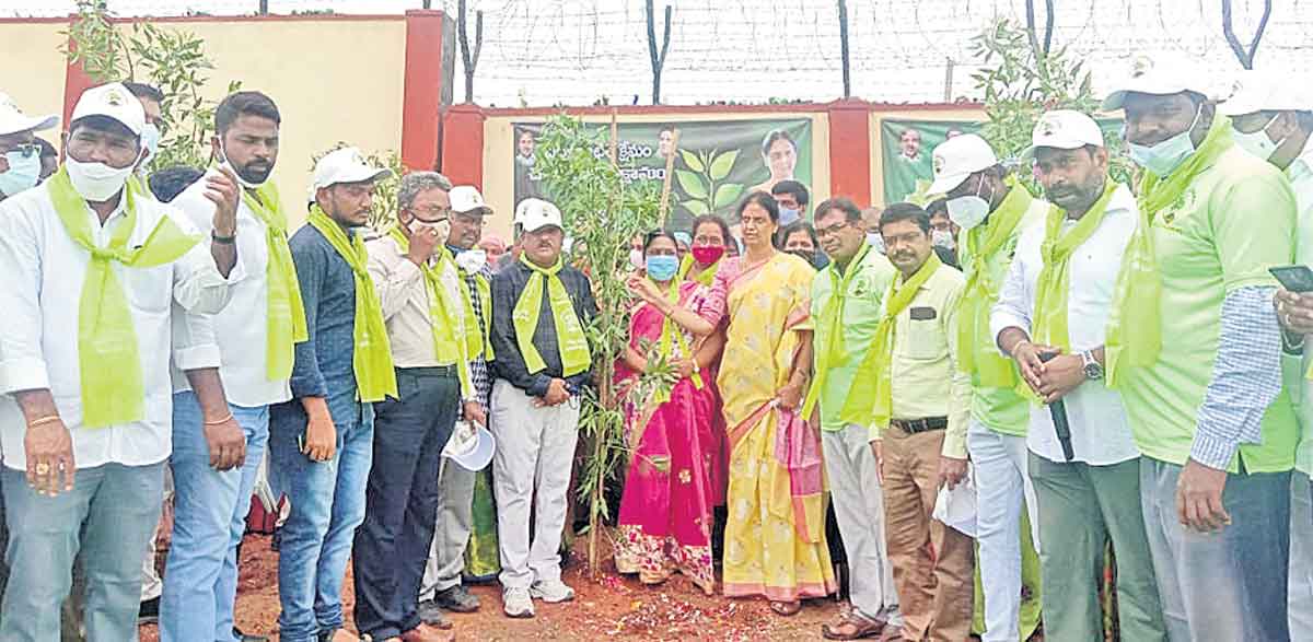 నాటిన ప్రతి మొక్కను సంరక్షించాలి