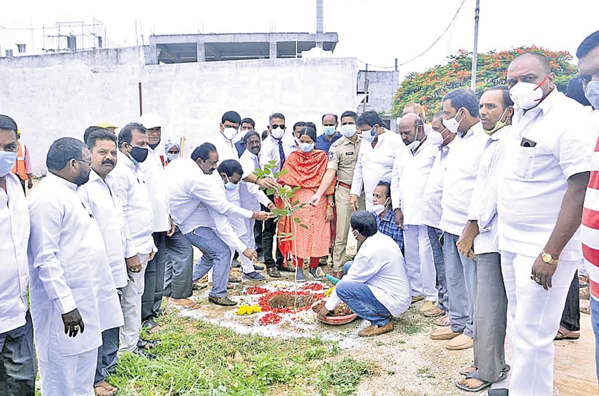 మొక్కలు నాటుదాం.. సంరక్షిద్దాం