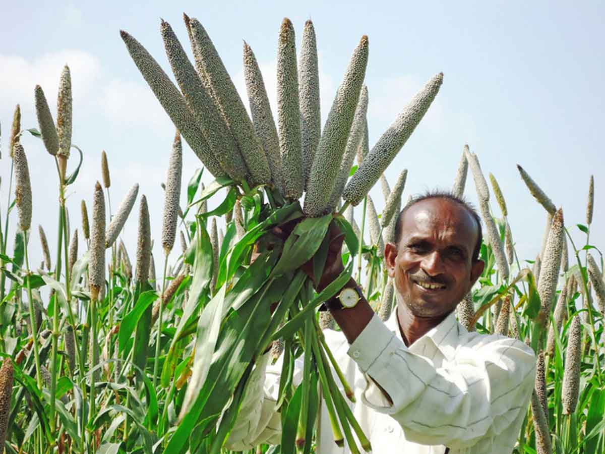 Millet consumption reduces diabetes risk : ఇవి తింటే డయాబెటీస్‌ రాదంటా..! అవేంటంటే..?