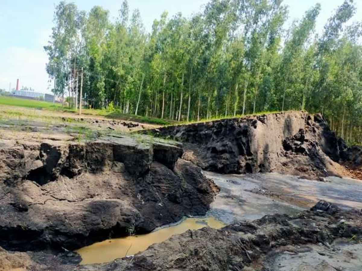 పైకి పెరిగిన భూమి.. హర్యానాలో వింత సంఘటన!.. వీడియో వైరల్‌..