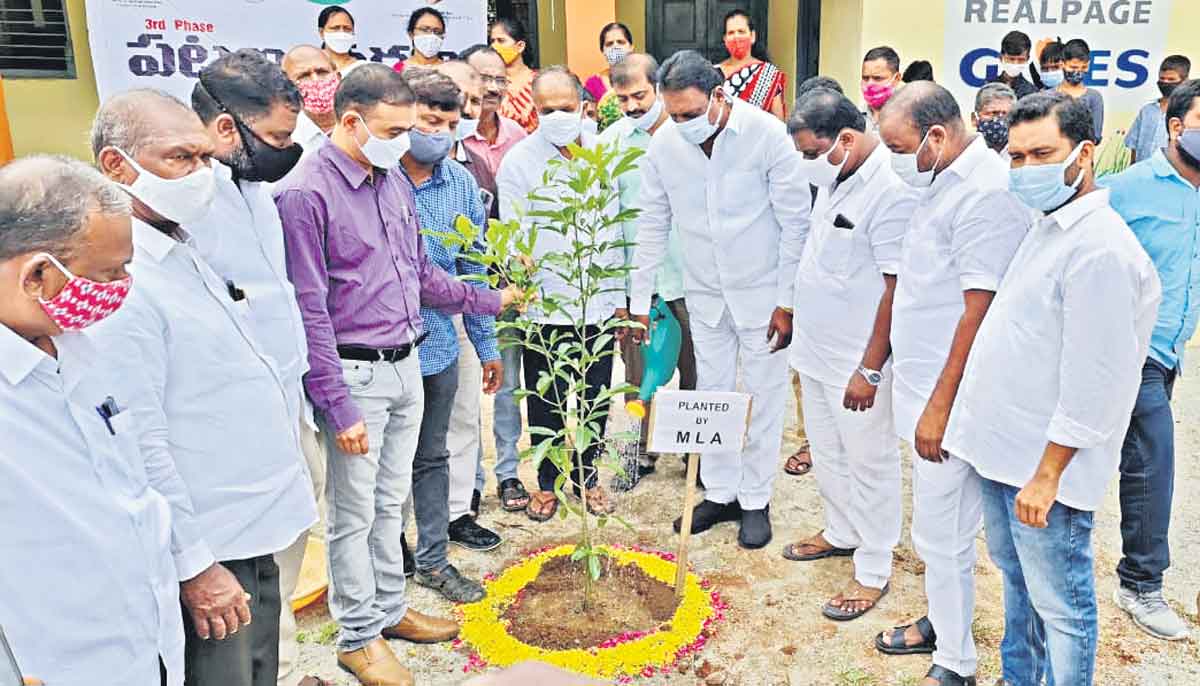 మొక్క నాటు.. సంరక్షించు