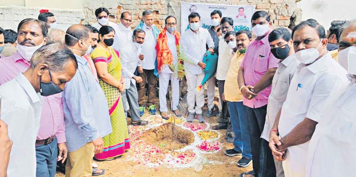 పరిశుభ్రం.. పచ్చదనం..