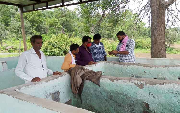 కంపోస్ట్‌ ఎరువుతో అదనపు ఆదాయం