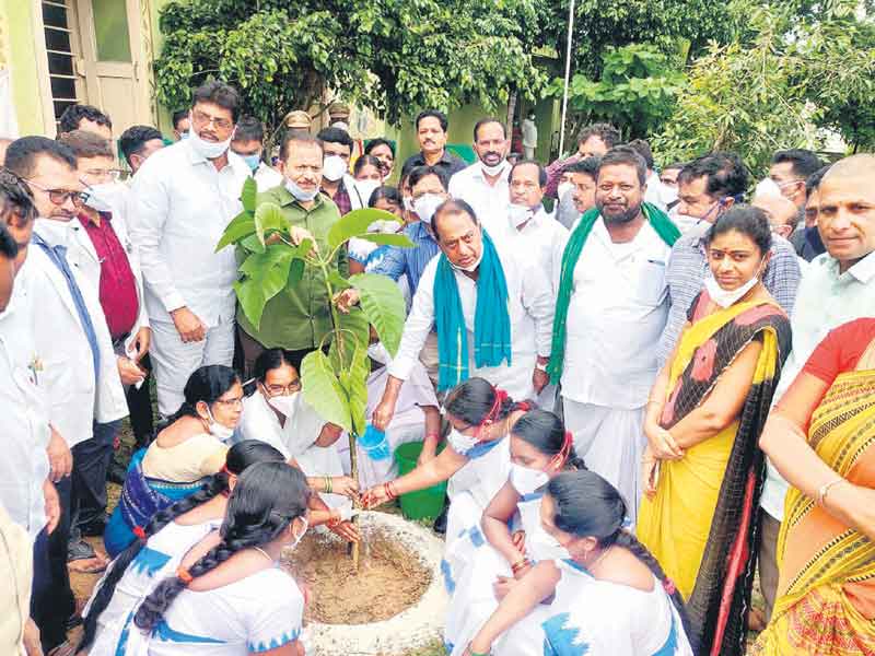 వృక్ష కానుక