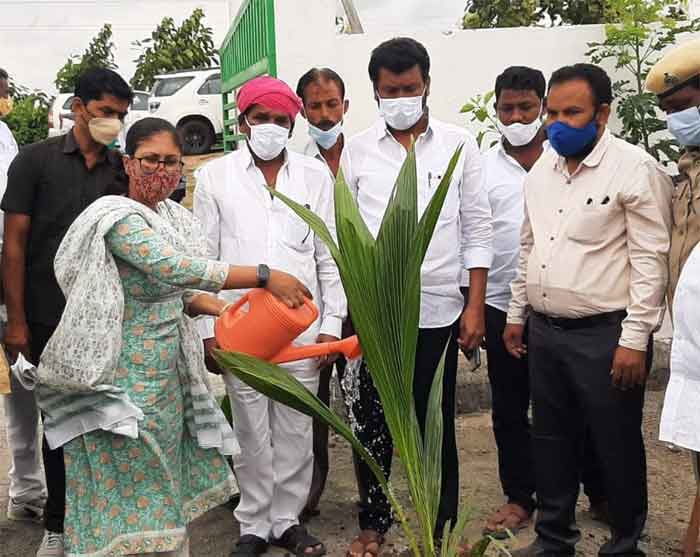 ప్రకృతి వనాలతో పల్లెలకు శోభ