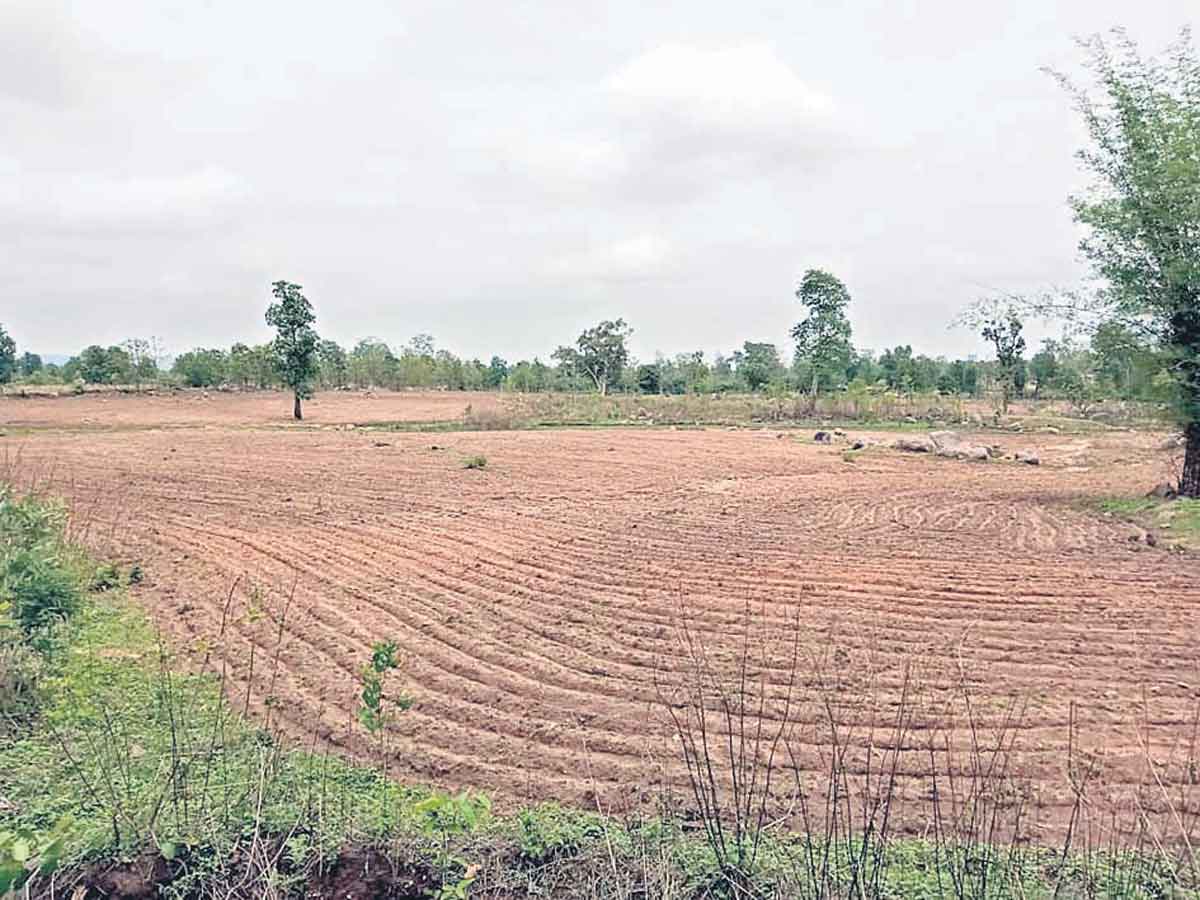 గిరిజన ‘బంధు’వు