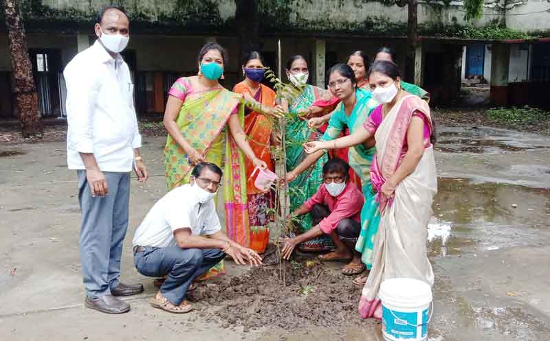 పర్యావరణ పరిరక్షణకు మొక్కలు నాటాలి