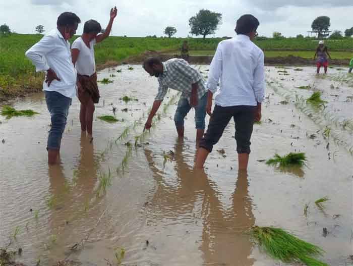 ‘కాలిబాటల పద్ధతి’తో దిగుబడి