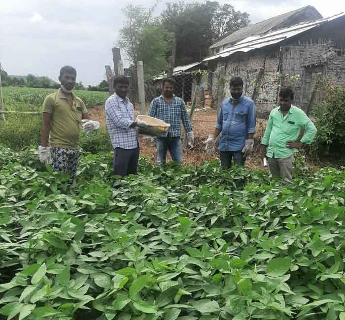 వ్యవసాయాధికారుల సూచనలు పాటించాలి