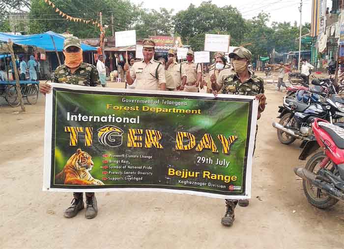 పులులను కాపాడుకోవాలి