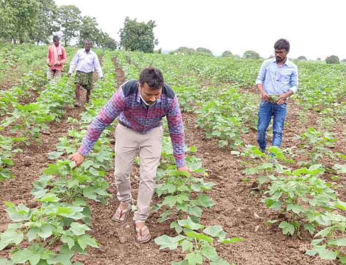 వానకాలం పంటల వివరాల సేకరణ