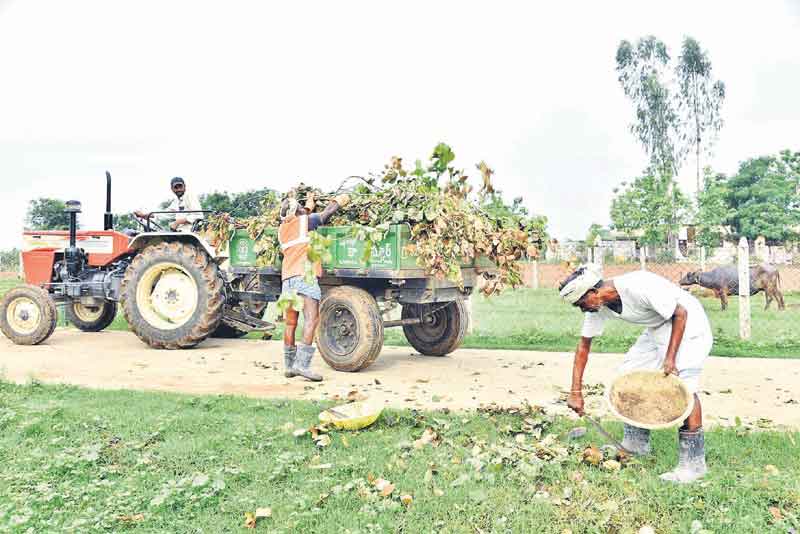 ఆరోగ్య పల్లెలు
