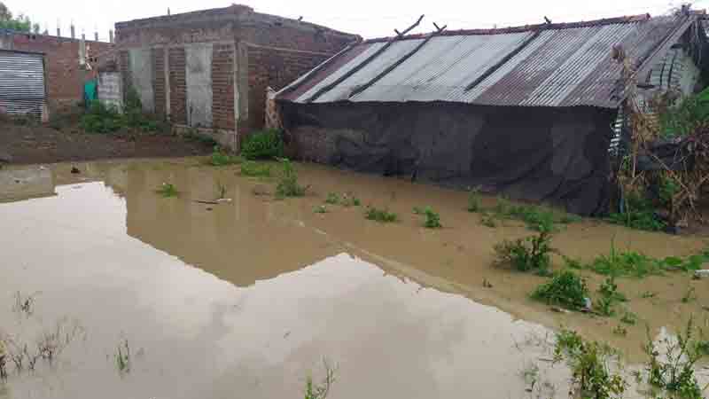 ఎడతెగని వాన..