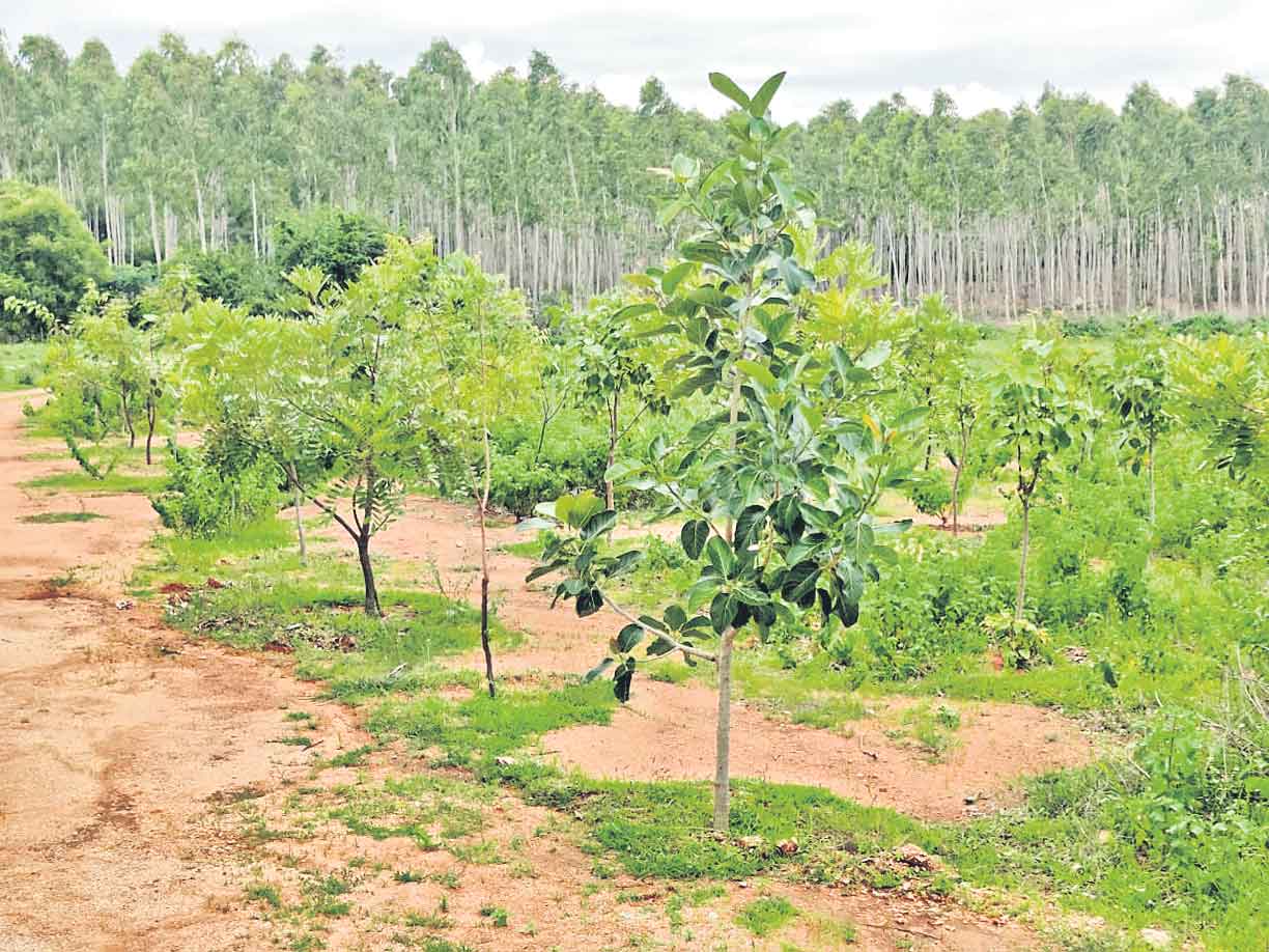 కీసర అభివృద్ధికి రూ.6 కోట్లు