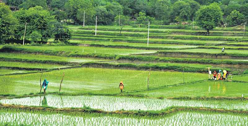 మానవీయ పరిపాలన పల్లెపల్లెనా పరివర్తన