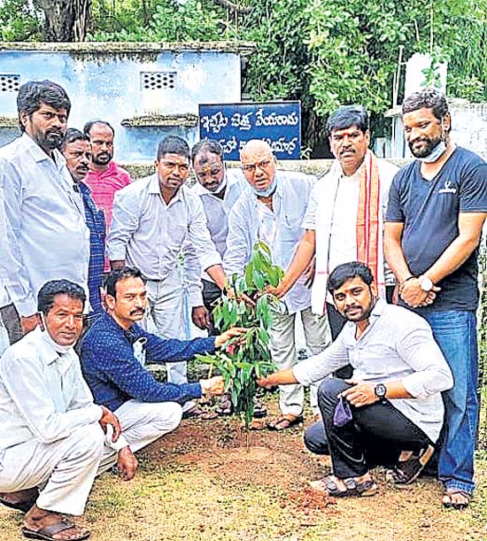 మొక్కలు నాటి సంరక్షించండి