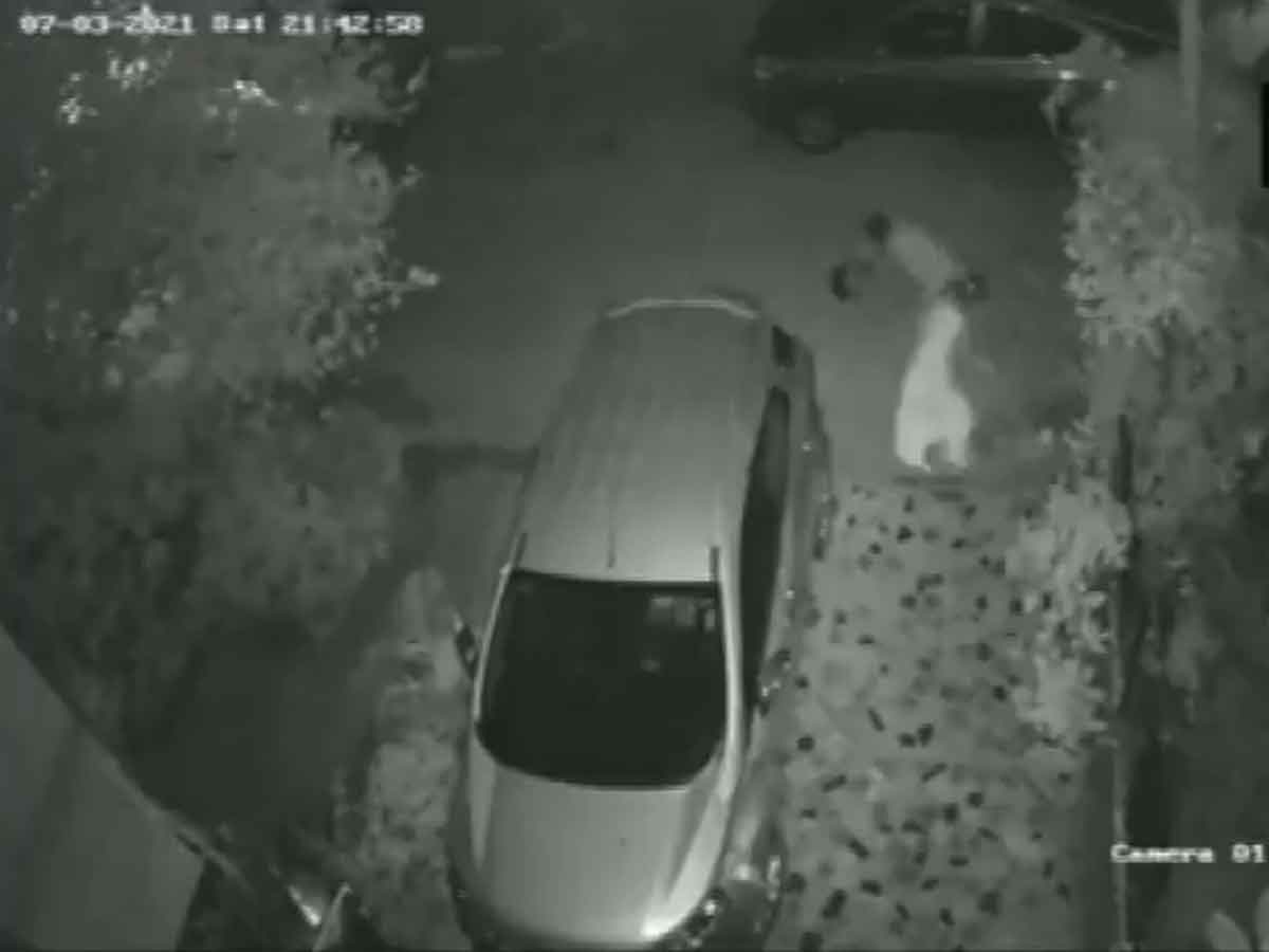 వృద్ధురాలి హ్యాండ్‌బ్యాగ్‌ను లాక్కునిపోయిన దొంగ