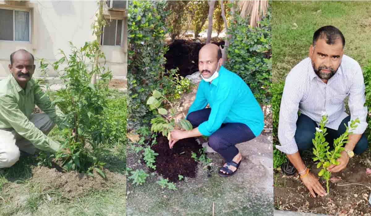 బ‌హ్రెయిన్‌లో ముక్కోటి వృక్షార్చ‌న‌