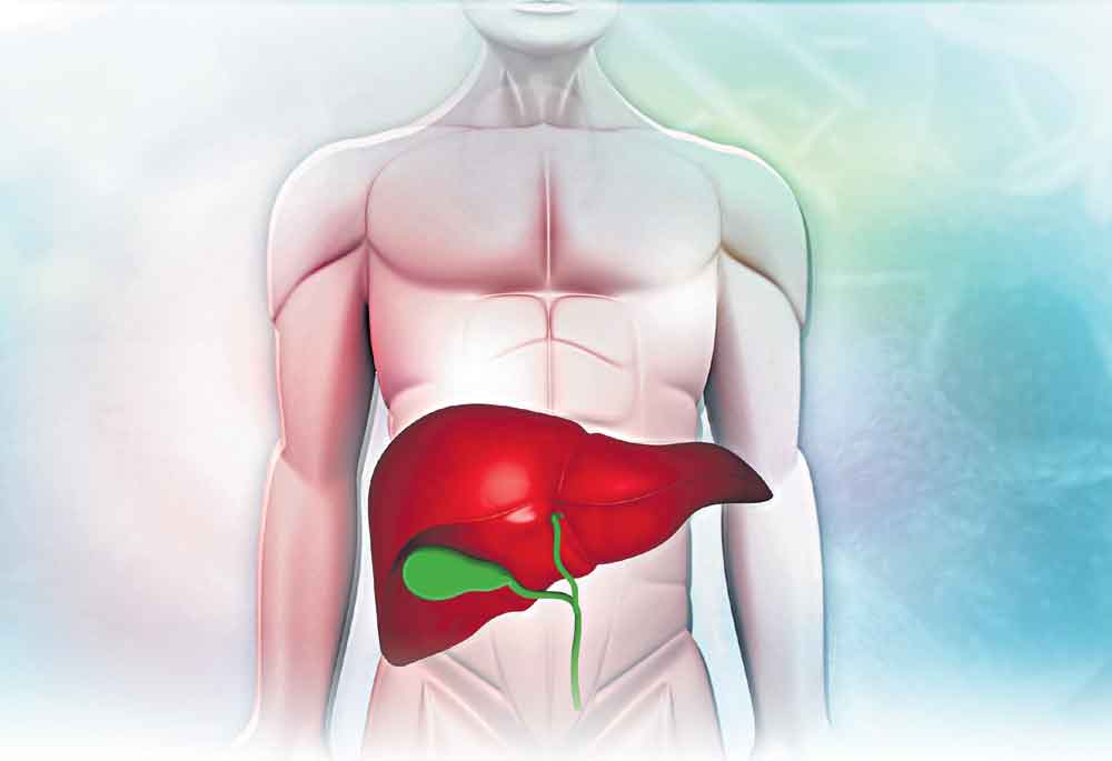 కాలేయం కాపాడుకుందాం