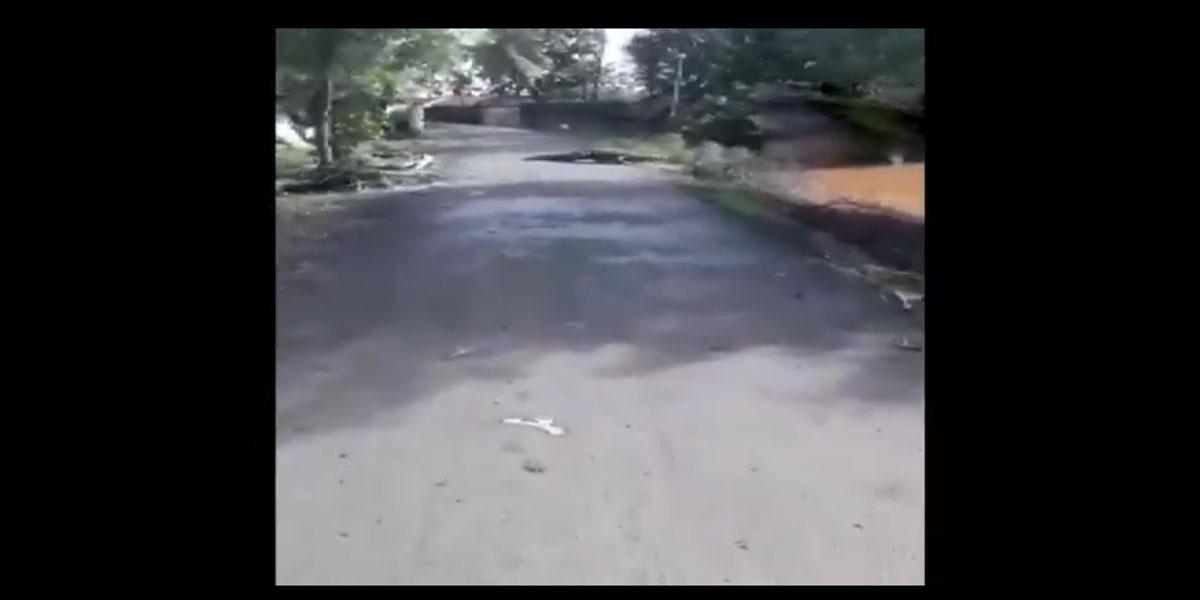 వామ్మో..! వీధుల్లో మొస‌లి విహారం..వీడియో