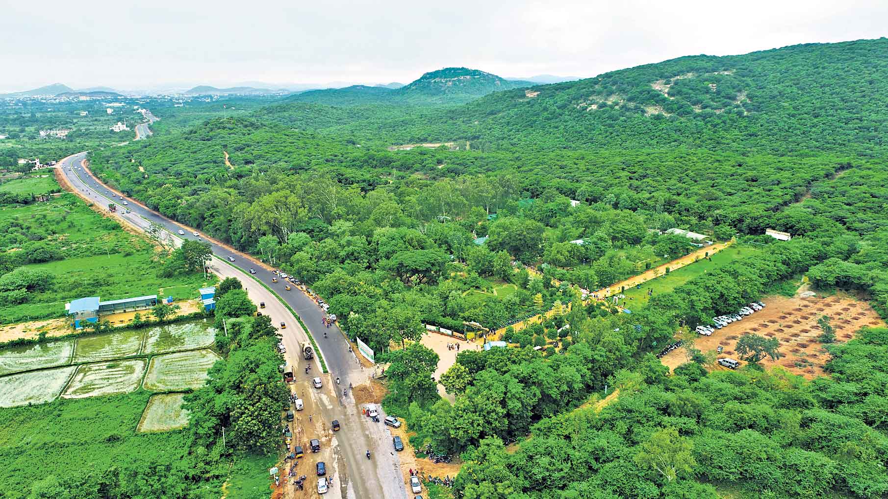 28 శాతానికి అటవీ విస్తీర్ణం