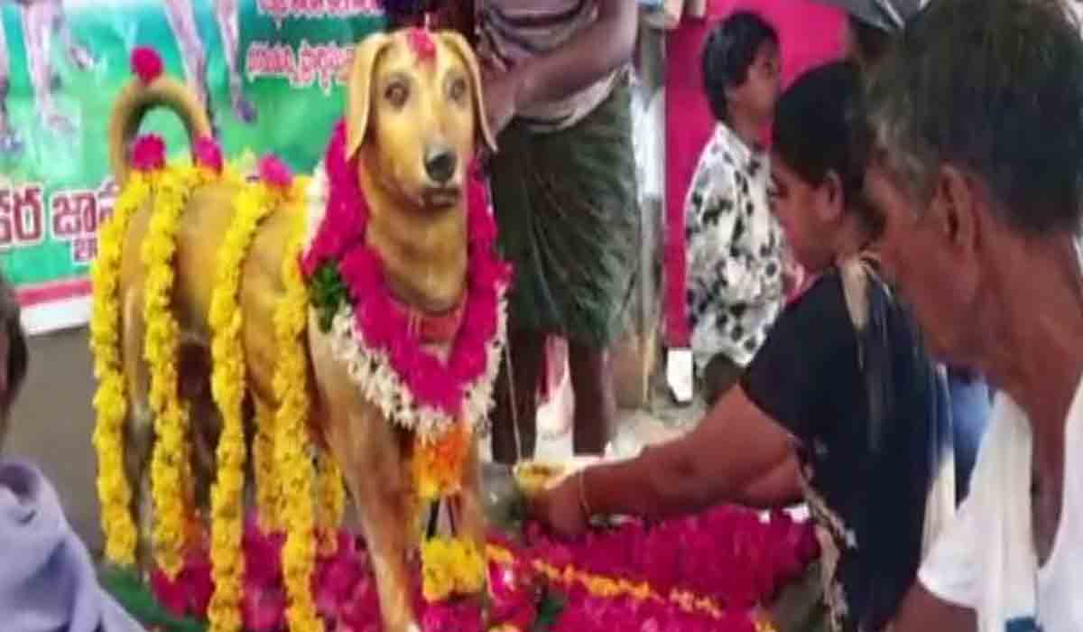 కుక్క‌కు కాంస్య విగ్ర‌హం..
