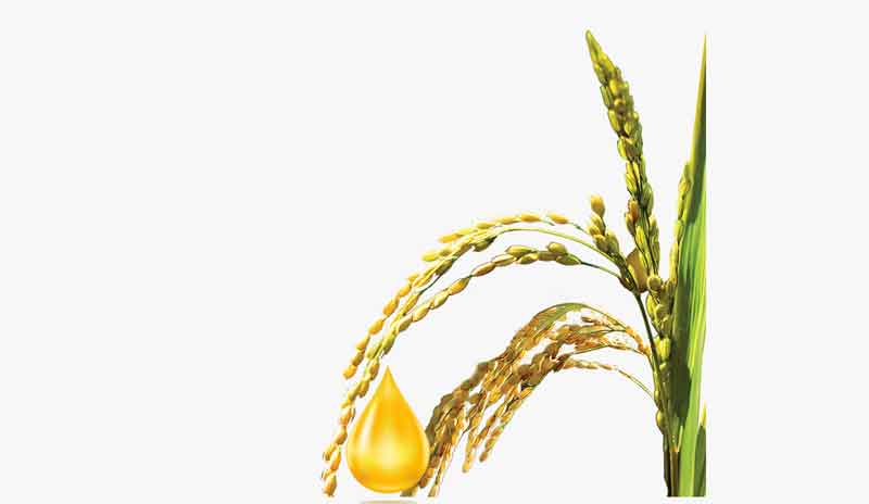 ఫుడ్‌ ప్రాసెసింగ్‌ జోన్లలో..ఇథనాల్‌ ప్లాంట్లు