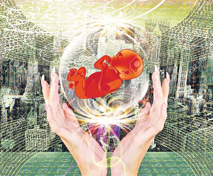 భూమిలో నత్రజని పెంపొందించే పంట?