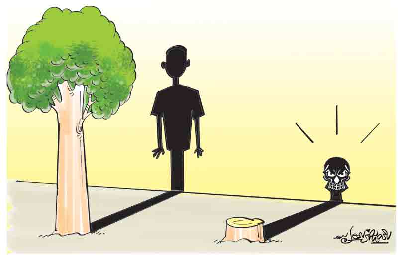 మొక్కతోనే మనిషి జీవితం