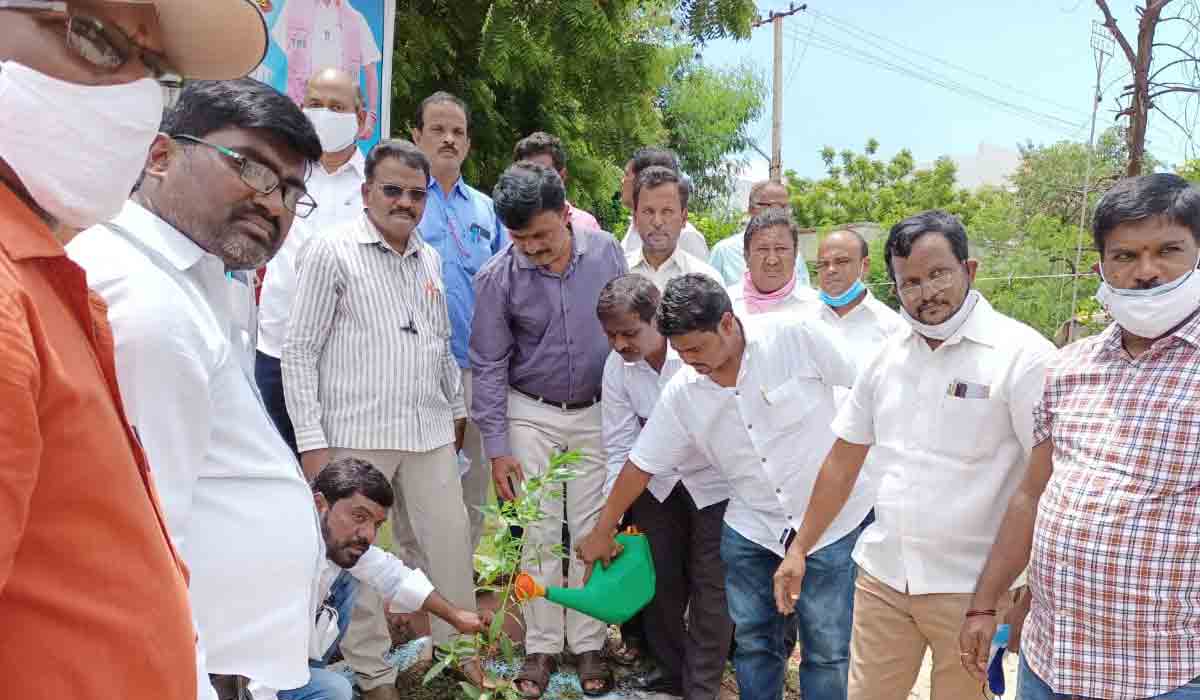 మొక్కల పెంపకానికి ప్రాధాన్యం ఇవ్వాలి : మంత్రి జగదీష్‌ రెడ్డి
