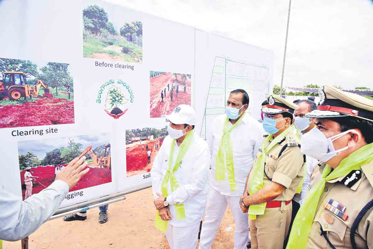 పచ్చదనంలోమనమే నంబర్‌