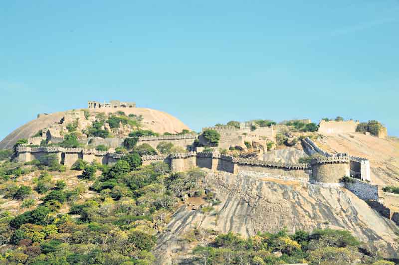 మన తెలంగాణ.. రాతి పూల వనం