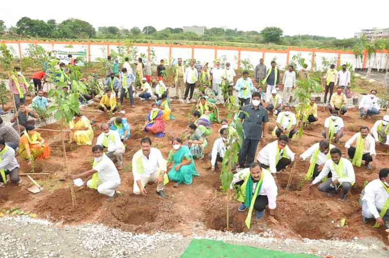 పల్లె మురిసె.. పట్నం మెరిసె