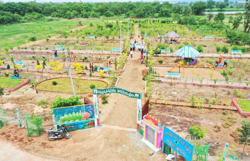 ప్రకృతి పునరాగమనం