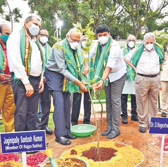 ప్రకృతి వైద్యులు వృక్షాలే