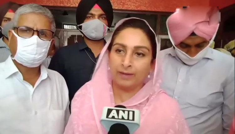 కాంగ్రెస్ త‌న ఆయుధాలను కింద ప‌డేసింది: హ‌ర్‌సిమ్ర‌త్ కౌర్‌