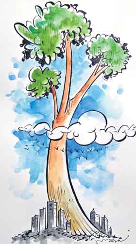 ఆకుపచ్చని ఛత్రం