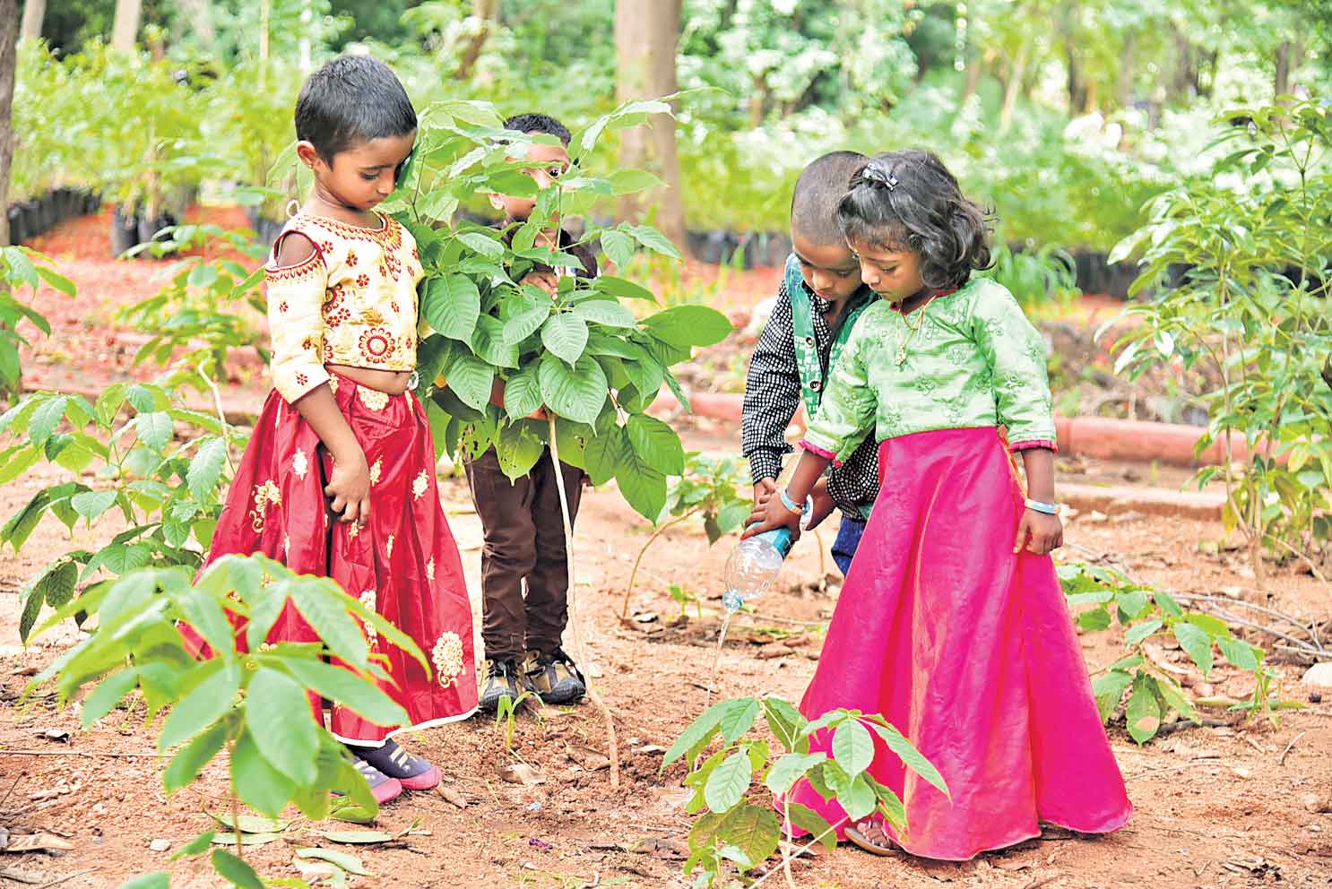 ప్రగతి వేదిక.. పచ్చని వేడుక