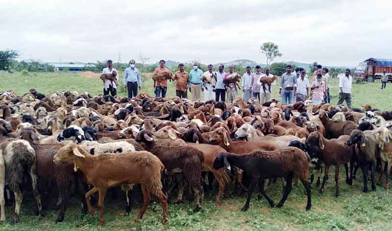 వృత్తిదారుల సంక్షేమానికి సర్కారు కృషి