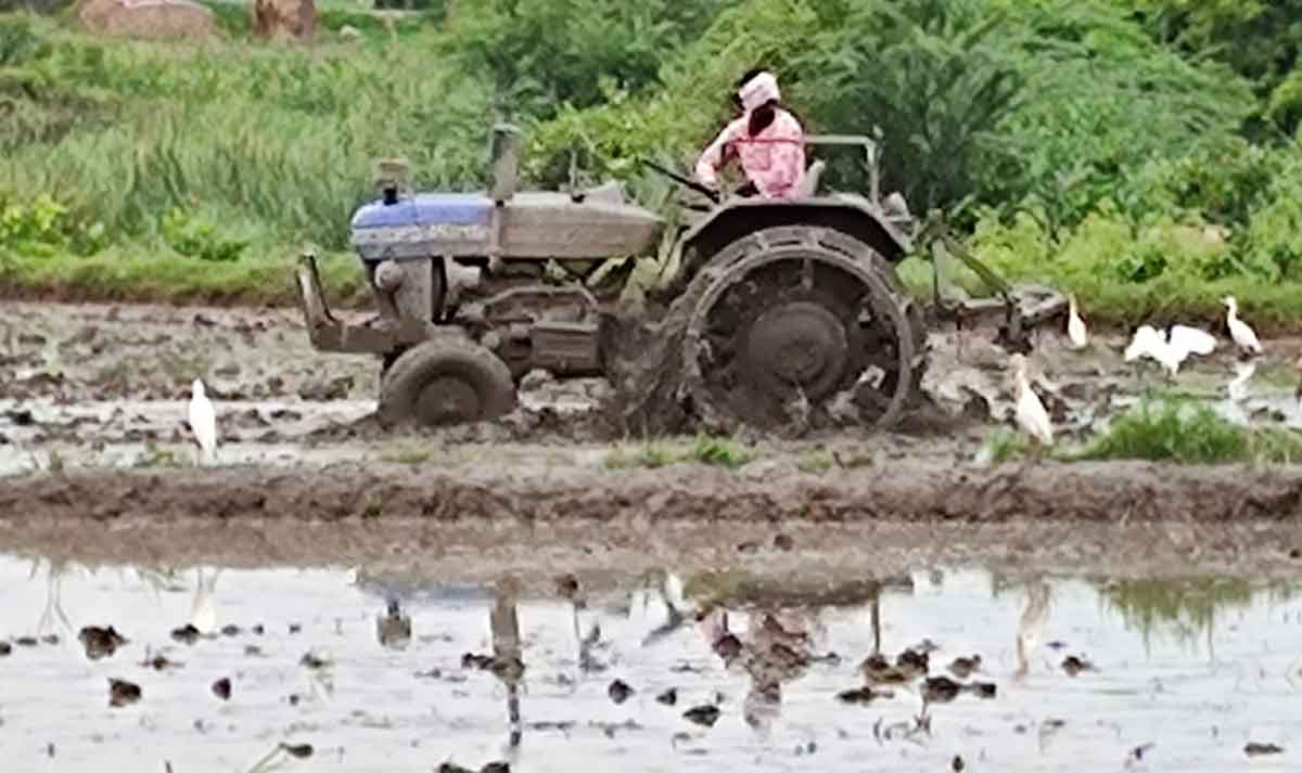 సమృద్ధిగా జలాలతో పెరుగనున్న సాగు
