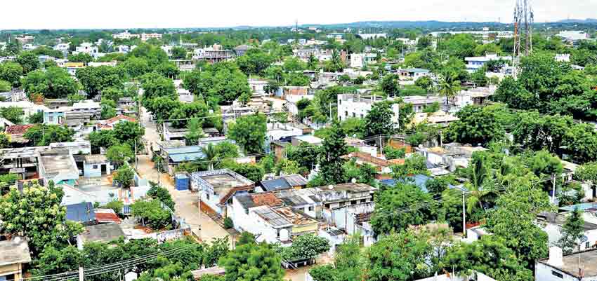 విరబూసిన మల్లెలు తెలంగాణ పల్లెలు