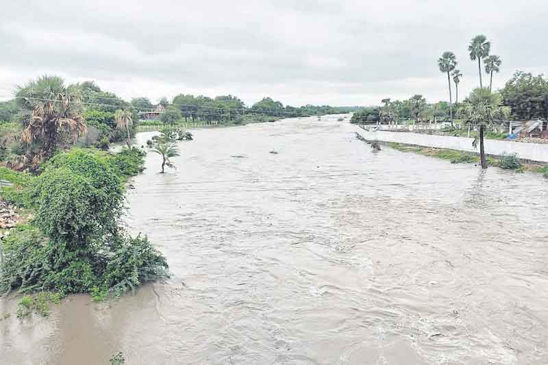 దంచికొట్టిన వాన