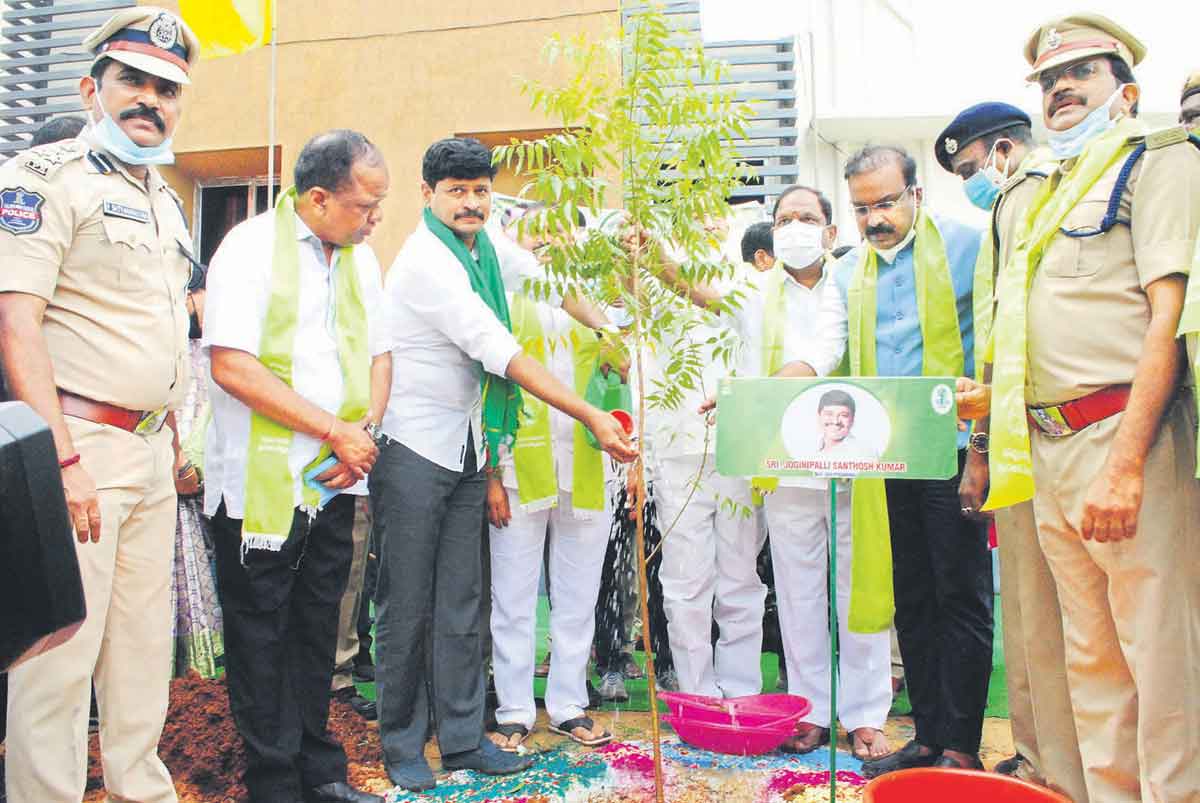 హరితహారం దేశానికే ఆదర్శం