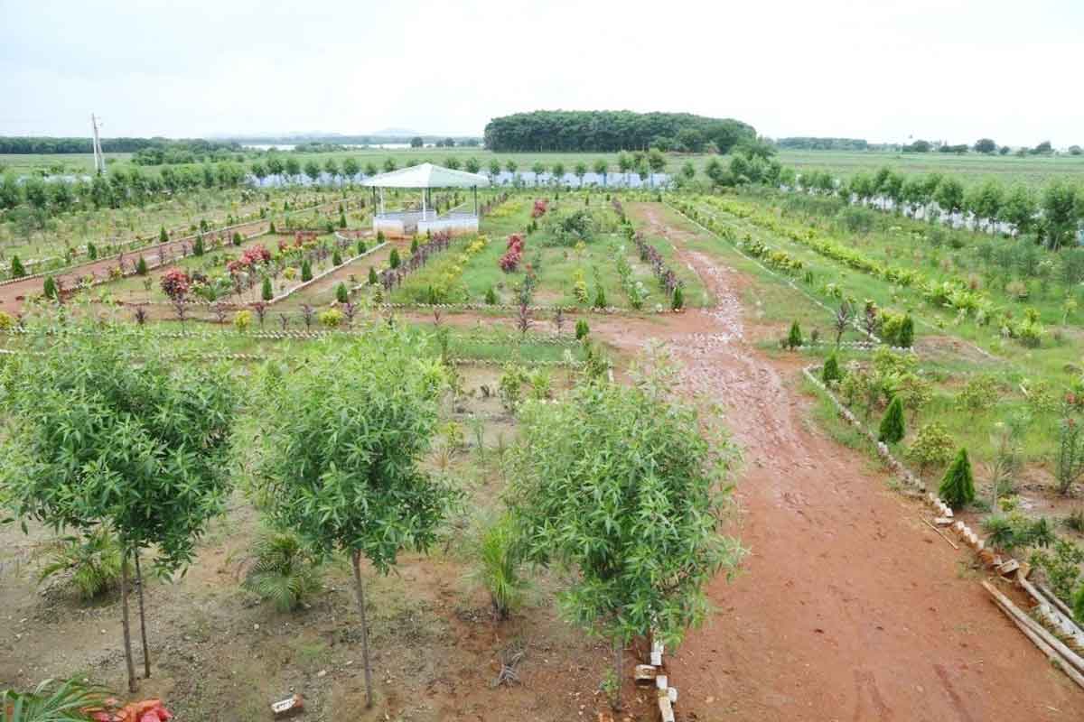 నాయకులగూడెం ప్రగతి ధామం