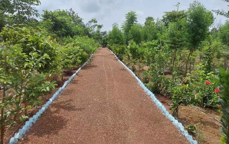 బత్తులపల్లికి ప్రగతి’హరం