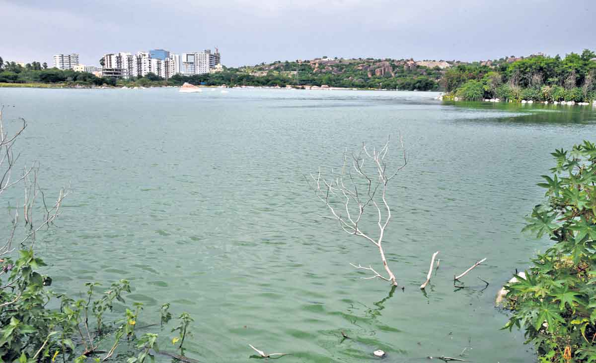 చెరువుల సంరక్షణకు ప్రభుత్వం చర్యలు